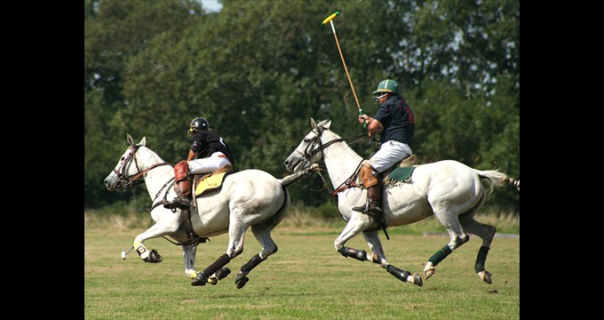 Copie-de-Polo-2015